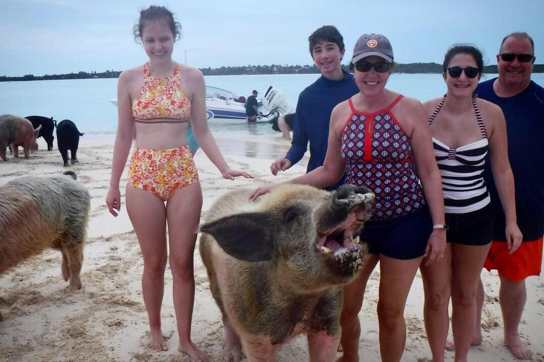 locke swimming pigs bahamas
