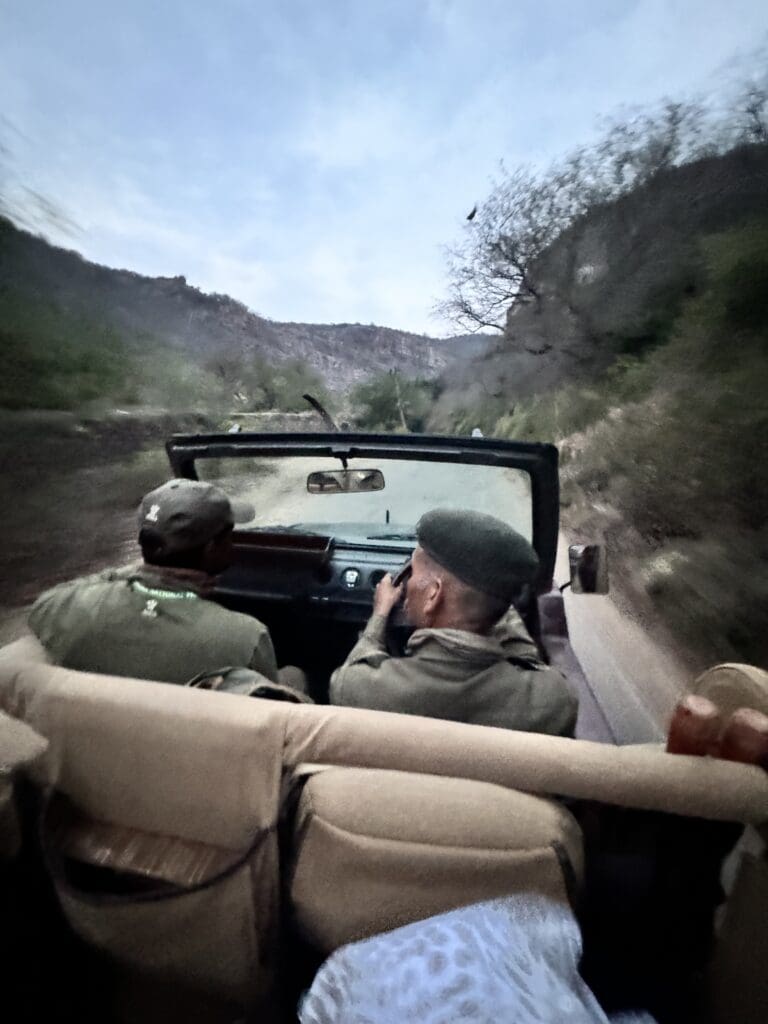 On our way to see some Tigers with SUJAN Sher Bagh - a luxury wildlife safari camp located near the Ranthambhore National Park in Rajasthan.