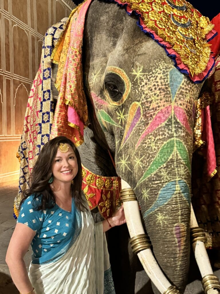 Private party at the The City Palace in Jaipur. I've never been welcomed with a parade of elephants, horses, band, camels and dancers... and I never will be again. 