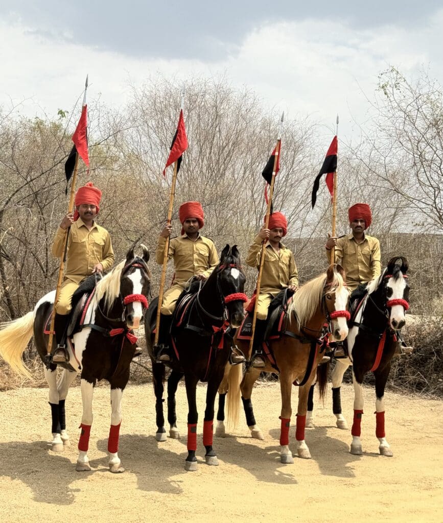 Our welcome at the luxury tented camp SUJAN Jawai. The leopard camp. One thing about India. The hospitality is extraordinary. You will never be greeted as beautifully as you are greeted in India. There is an art and drama to it that I will remember forever.