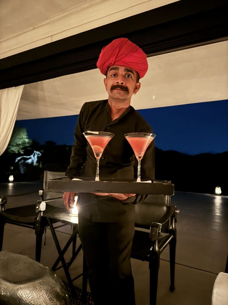 Yes please to a cosmo in a luxury safari camp in India.