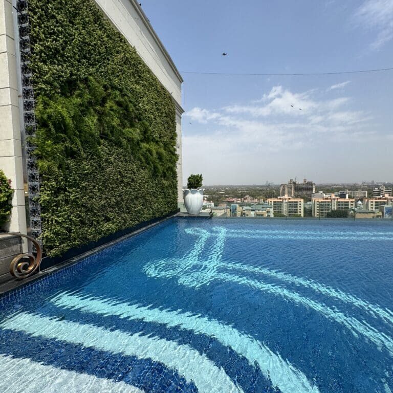 I started my journey in Delhi at the luxurious Leela Palace hotel. This was a great "landing" hotel and the rooftop pool after 14++ hours on a flight was a treat. 