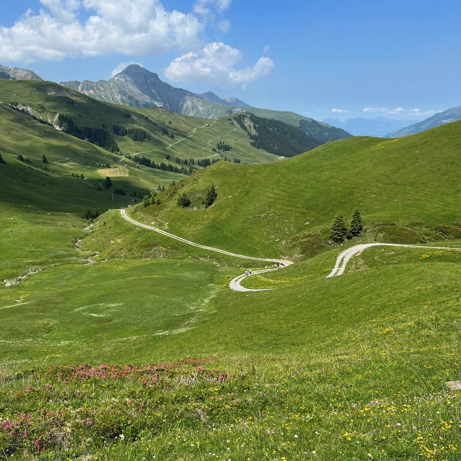 Lovely meandering trails.